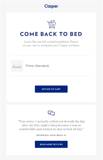 Curiosity-Driven Subject Line from Abandoned Cart Email of Casper brand.