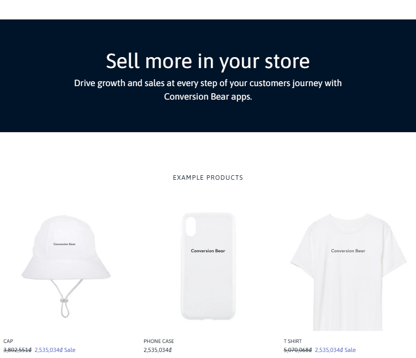 Demo Store of Proof Bear